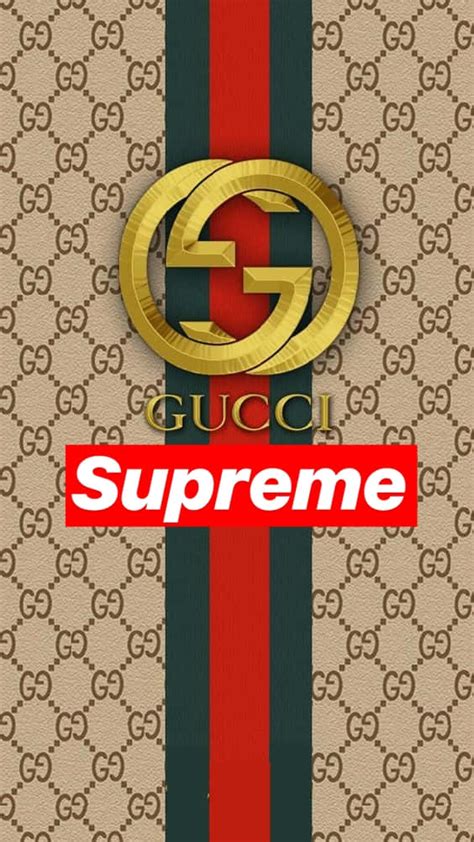 ikonic supreme or gucci|famous Gucci styles.